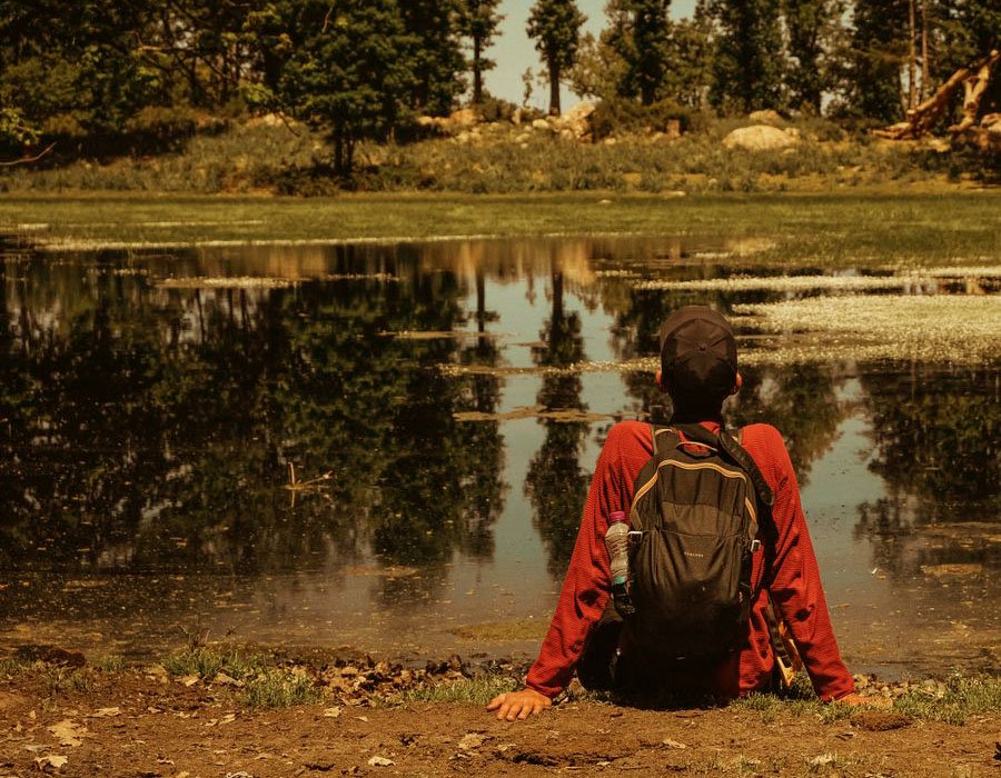 Stress, Resilience & Recovery